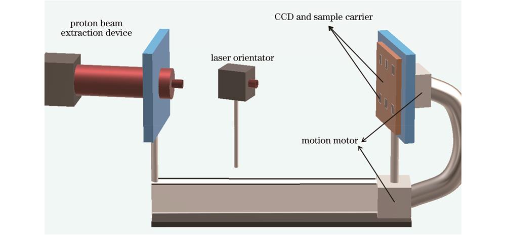 辐照实验原理示意图