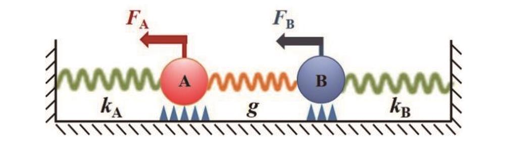 描述等离激元模式耦合的耦合谐振子模型