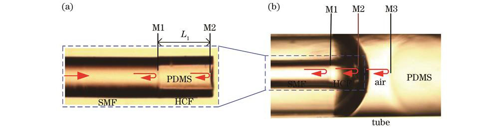 PDMS腔显微图。(a)封装前PDMS腔的显微图;(b)封装后PDMS腔和空气腔显微图