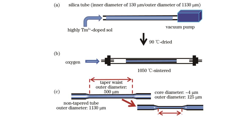 石英毛细管内壁镀膜及熔融拉锥制得Tm3+高掺石英光纤示意图。(a)镀膜;(b)热处理;(c)熔融二次拉锥