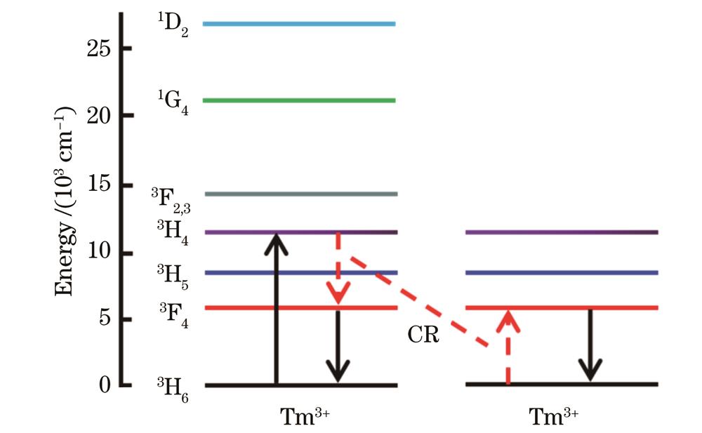 Tm3+能级简图以及粒子间交叉弛豫