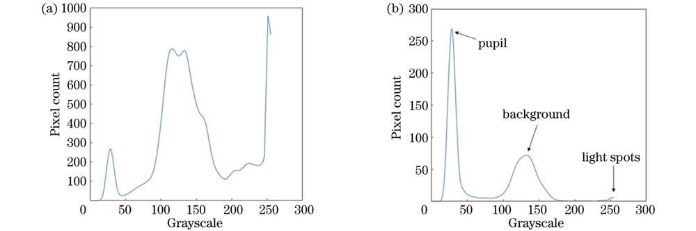 ROI提取前后的灰度直方图分布。(a)原图像的灰度直方图分布;(b)ROI的灰度直方图分布