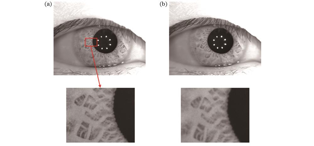 人眼离焦图像序列4中部分图像。(a)序列第8幅图像;(b)序列第9幅图像
