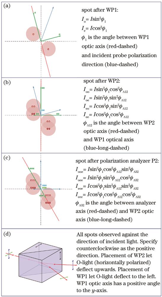 诊断光束在各偏振器件之后的投影情况。(a)WP1之后;(b)WP2之后;(c)检偏器P2之后;(d)棱镜摆放方向说明