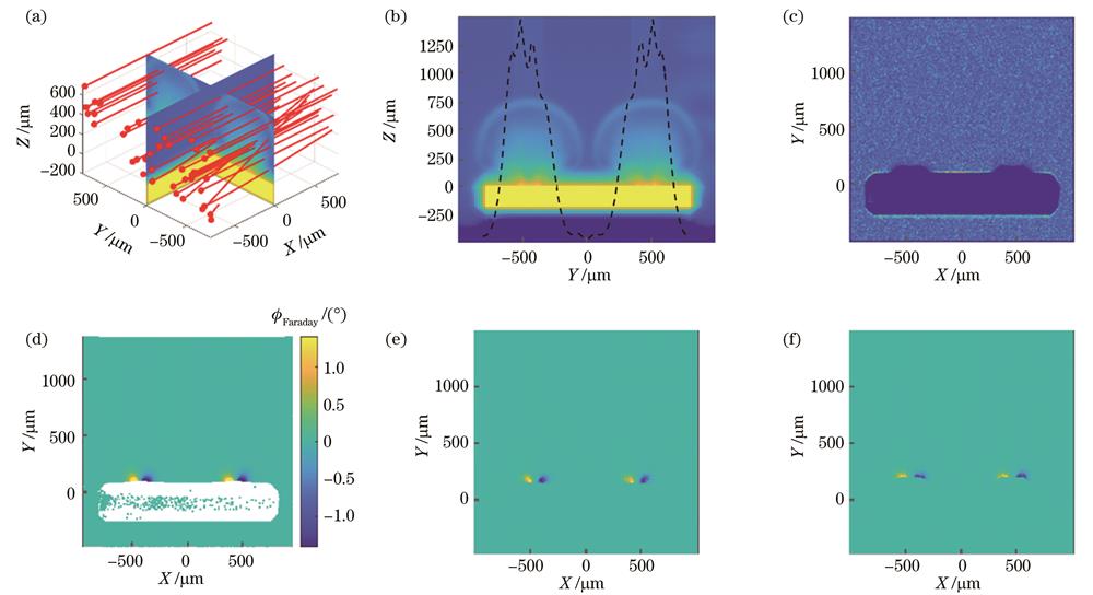 由模拟结果合成的光学诊断。(a)3D光线追踪示意图,双焦点位于X=0线上,诊断光沿X轴方向(射线展示了部分光线在等离子体中的轨迹);(b)X=0处电子密度切片(虚线为距靶面250 μm处的密度分布);(c)CCD阴影通道合成图(收光系统F数为f/6);(d)法拉第旋转角合成图;(e)偏振通道合成图(全口径收光);(f)偏振通道合成图(收光系统F数为f/6)