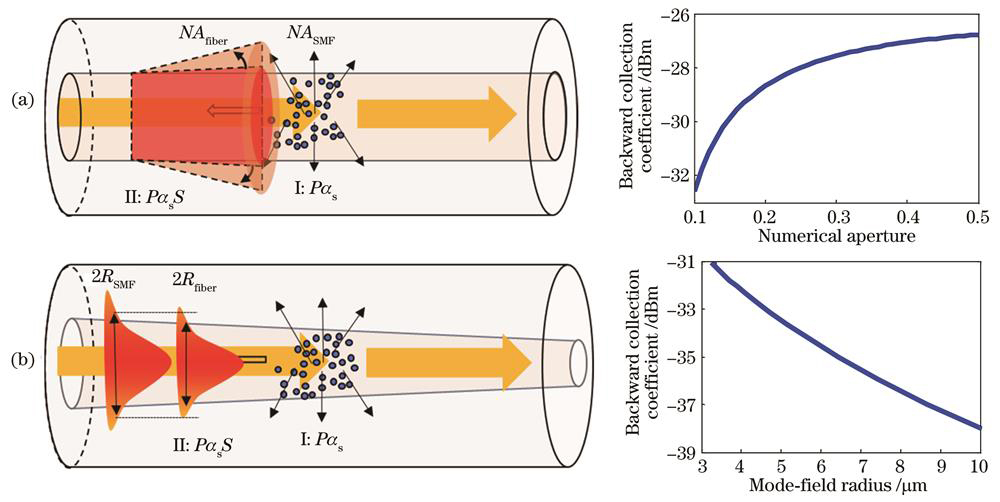 光纤散射后向收集系数模型。(a)数值孔径;(b)模场半径