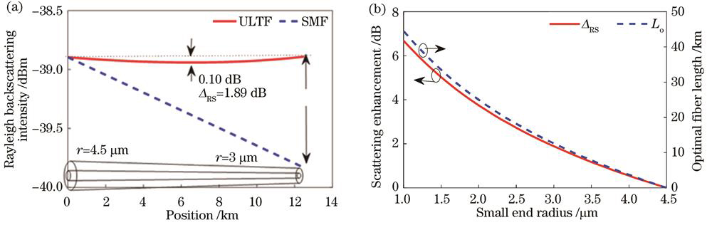 超长绝热锥形光纤设计增强散射。(a)半径为4.5~3 μm、长度为12.5 km的ULTF的散射谱;(b)不同小端半径的散射增强结果和光纤长度