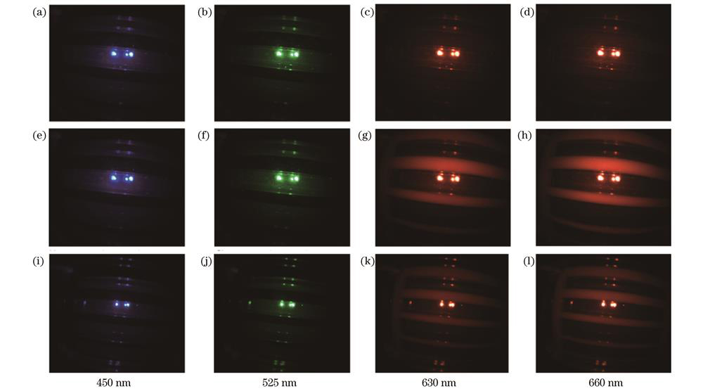 实验室内窥镜拍摄的450 nm、525 nm、630 nm、660 nm仿体多光谱图像。(a)~(d)d=2 cm,ξSO2=18%;(e)~(h)d=2 cm,ξSO2=98%;(i)~(l)d=3 cm,ξSO2=98%