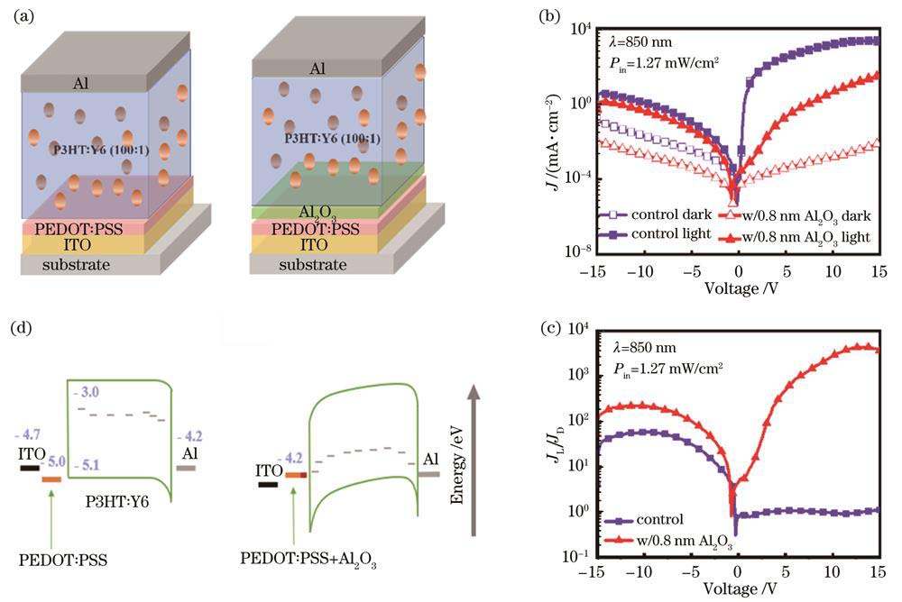 不含与含Al2O3界面修饰层的器件结构及性能。(a)两种类型器件的结构;(b)两种类型器件在850 nm(1.27 mW/cm2)下的J-V曲线;(c)两种类型器件在850 nm(1.27 mW/cm2)下的亮暗电流比曲线;(d)两种类型器件的能级图