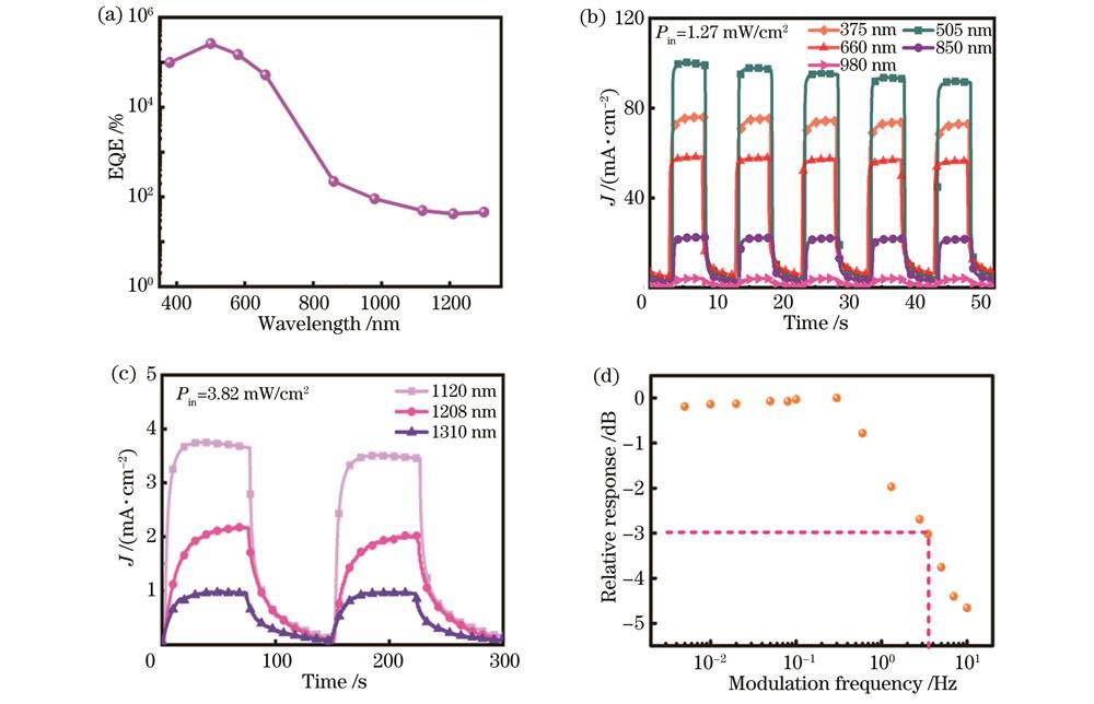 Al2O3修饰器件在15 V偏压下的相关表征。(a)外量子效率光谱;(b)瞬态响应曲线;(c)1120、1208、1310 nm光源照射下的瞬态响应曲线;(d)调制光源下的f-3 dB测试结果