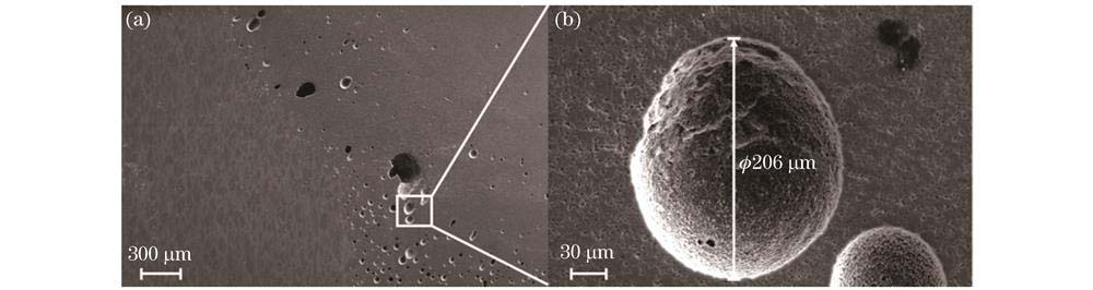 气孔SEM图像。(a)熔合区位置缺陷集中分布;(b)缺陷的局部形貌