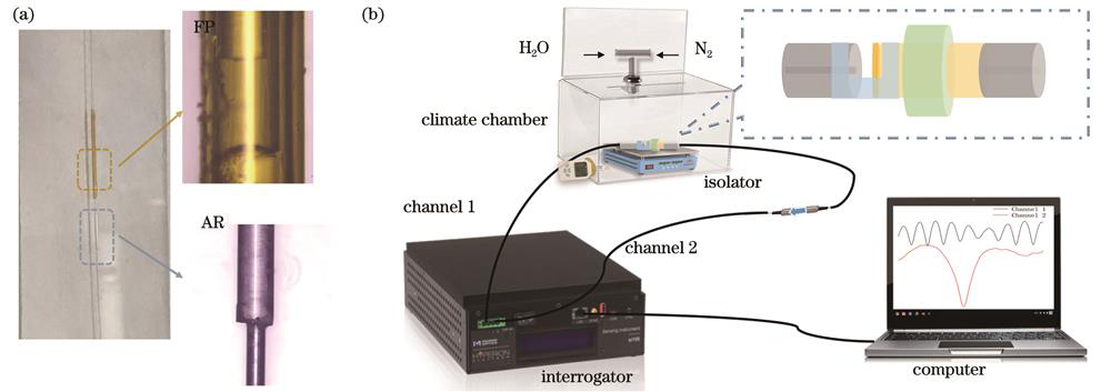 传感器显微图和测试装置示意图。(a)传感器显微图;(b)实验测试装置图