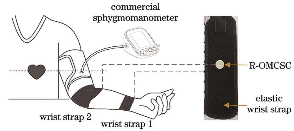 双通道脉搏波检测方法