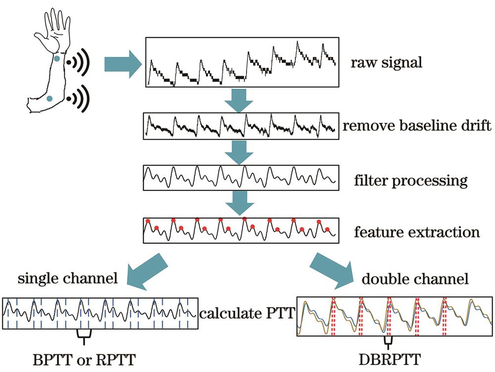 脉搏波预处理过程