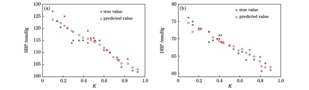 SVR 预测模型的输出。(a) SBP模型;(b) DBP模型
