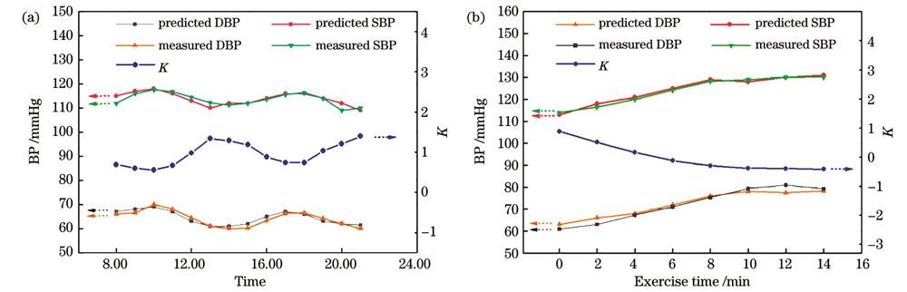 血压和K值的变化。(a)一天内的不同时刻;(b)运动时