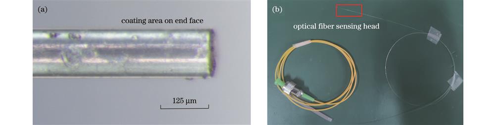 薄膜式光纤F-P压力传感器。(a)传感探头光学显微图(侧视);(b)薄膜式光纤F-P压力传感器实物图