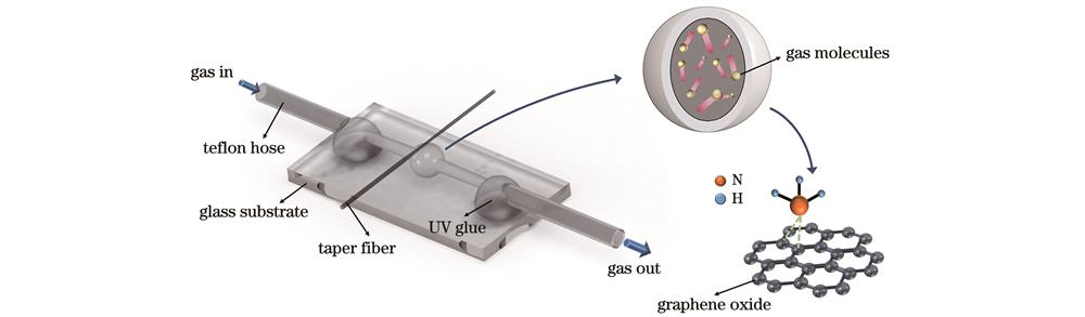 GO涂覆空心微泡腔气体传感器原理示意图