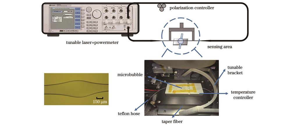 基于GO涂覆微泡腔的气体传感实验装置示意图