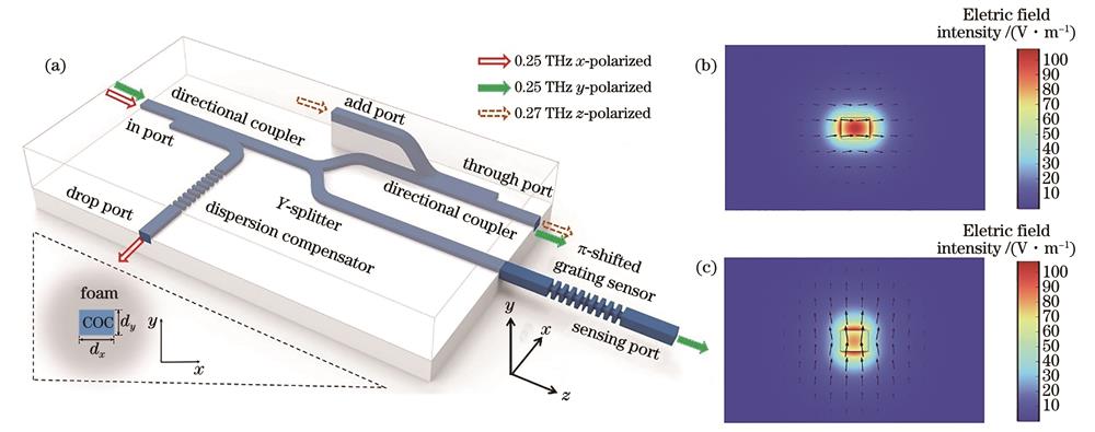 太赫兹多维复用与RI传感集成器件模型图及亚波长光纤传输性能仿真结果。(a)器件的3D结构;光纤中(b)x偏振态及(c)y偏振态在0.25 THz时芯子周围的归一化电场分布(箭头代表电矢量)
