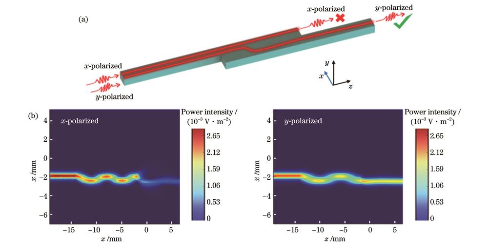 定向耦合器结构示意图以及两种正交偏振模式在其中的功率分布。(a)沿x轴放置的定向耦合器示意图(箭头曲线表示定向耦合器中x偏振态和y偏振态的传输路径,x轴表示亚波长光纤的放置方向);(b)工作频率为0.25 THz时x偏振态和y偏振态在定向耦合器中的功率分布