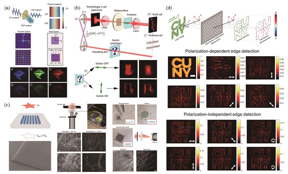 マリン　天板 超构表面赋能先进多光谱成像与图像特征检测（特邀） | 光学学报