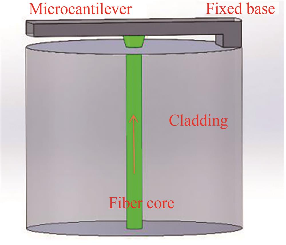 光纤悬臂梁传感器结构