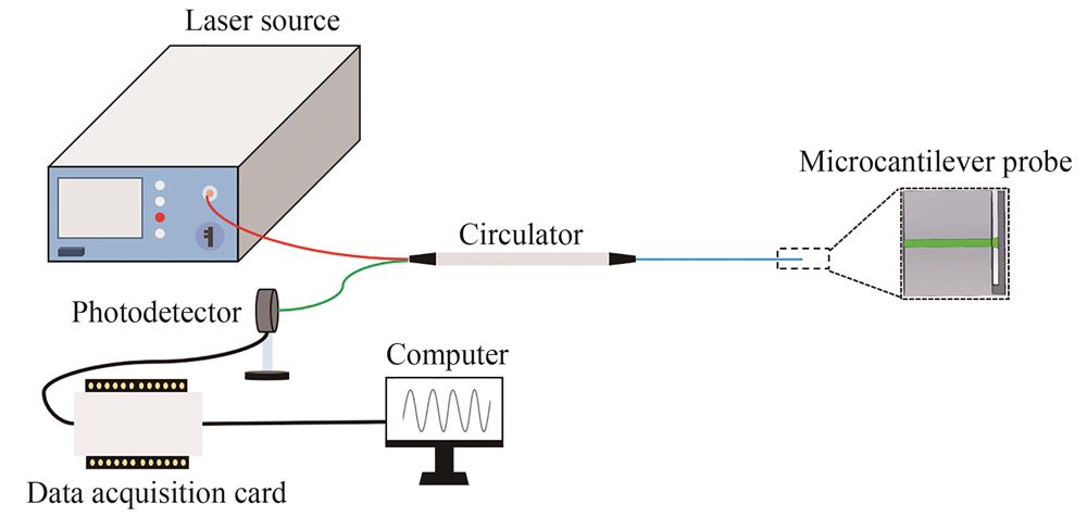 微悬臂梁光纤传感解调系统