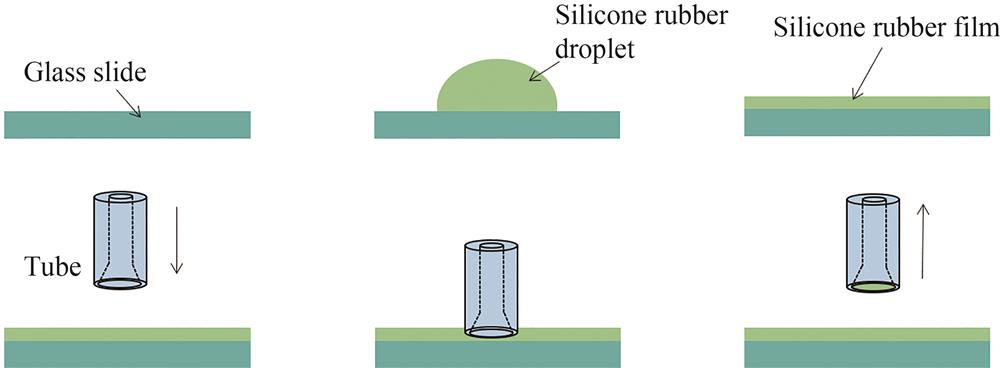 硅橡胶薄膜的制作过程