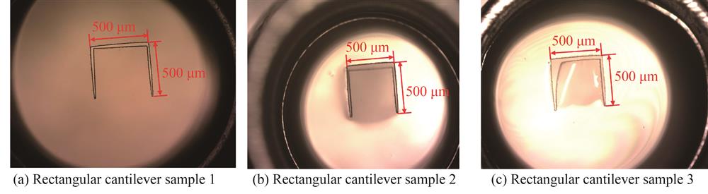 悬臂梁结构硅橡胶薄膜