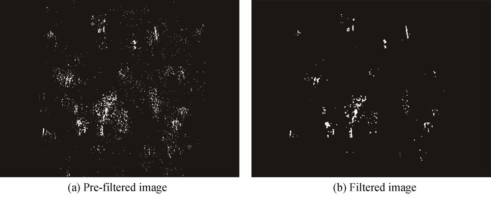 低频滤波前后的部分图像