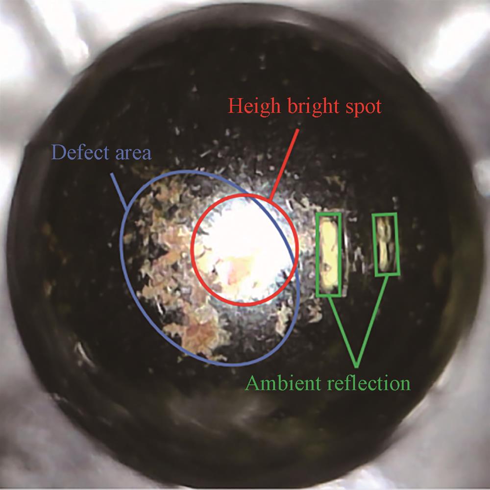 传统明场面阵检测