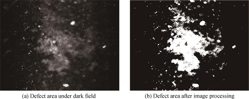 缺陷区域暗场线阵检测结果