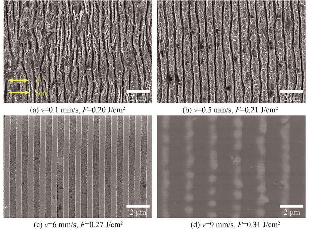 不同扫描速度下高斯激光脉冲诱导均匀NSRs的扫描电镜照片
