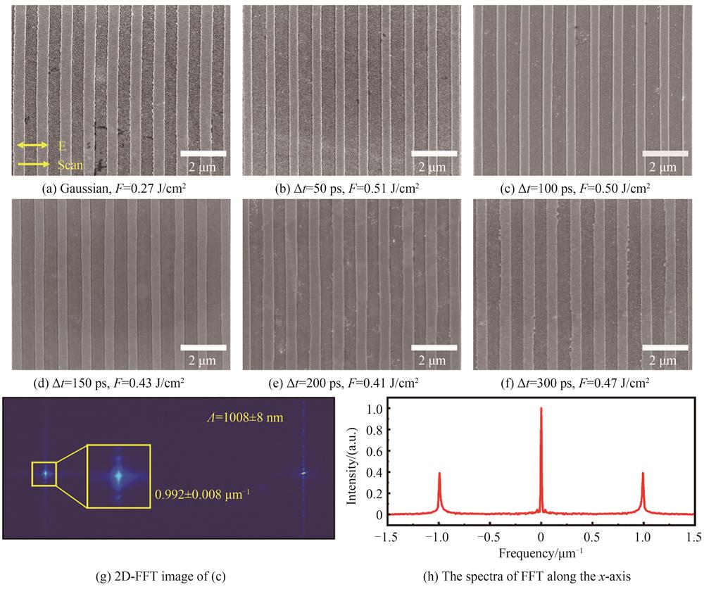 飞秒激光脉冲串诱导均匀NSRs的扫描电镜照片,扫描速度为6 mm/s