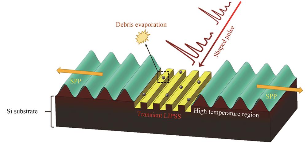 飞秒激光脉冲串诱导规则NSRs原理