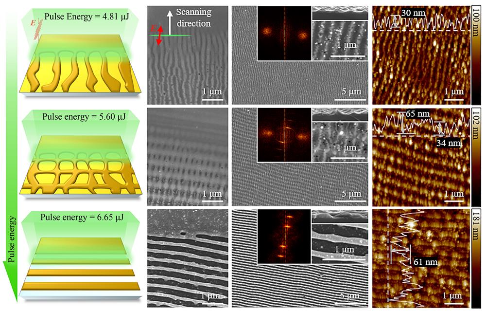 在扫描速度为0.1 mm/s,不同激光能量下50 nm GST薄膜(硅基底)形成的周期性结构的示意图和SEM图,以及形成结构和其截面轮廓的SEM、二维傅里叶变换和AFM图像