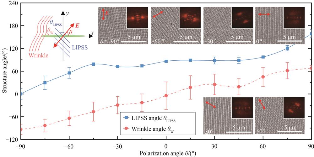 不同偏振角度θ下50 nm GST薄膜(硅基底)上制备二维褶皱LIPSS的褶皱角度θW和LIPSS角度θLIPSS的变化趋势
