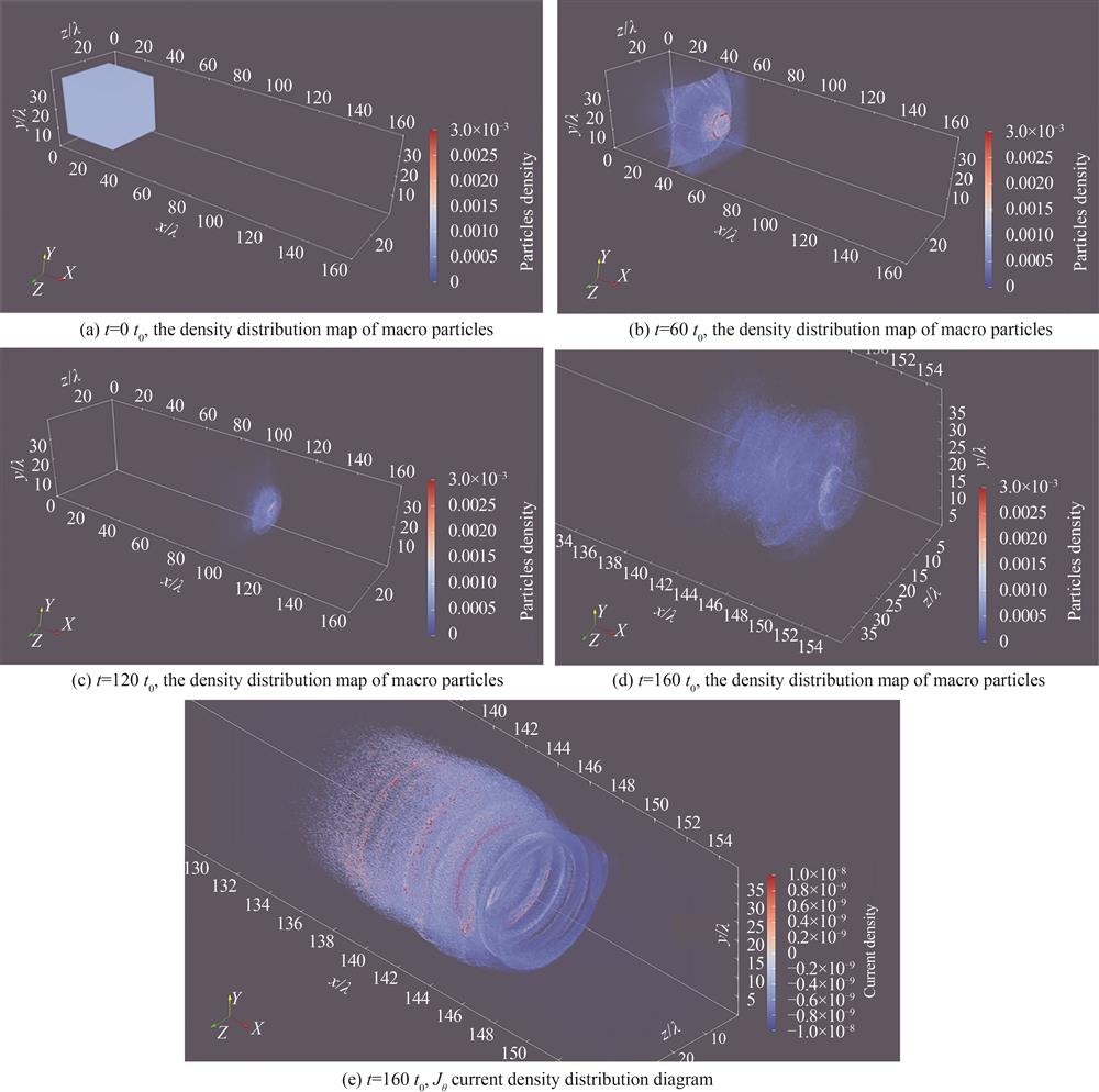宏粒子的密度分布与电流密度分布