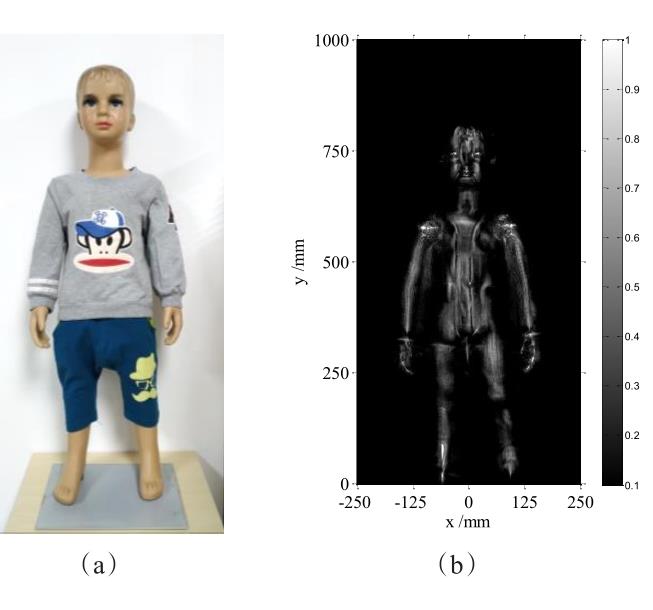 儿童人体模特测量结果 (a) 光学图片 (b)采用RMA的1:4:69 MIMO阵列重建结果
