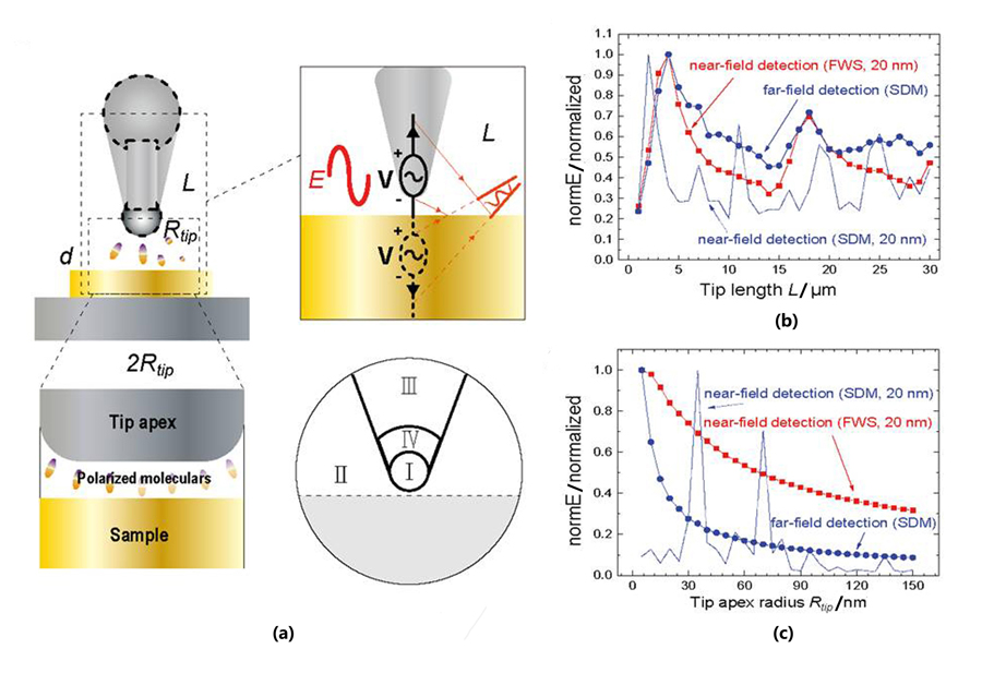 在30 THz EM场中,利用FWS方法和SDM模拟探针轴和探针顶端对SNOM成像的影响分析.(a)SPM探针与样品相互作用的示意图. 电场E激发了这种类似天线的探针,产生电荷振荡,并与导电样品形成单极天线,将信号辐射到远场(右上方). 探针尖端和样品等效于一个电容器,由于量子隧穿效应,探针样品结会产生隧穿电流. 当分子填充在间隙中时,能量状态会改变(左下方). 为了对探针进行数学描述,将探针分为三个区域,并在探针外定义一个圆形区域(右下方).(b)在不同的探针长度L下,得到的位于距离尖端顶端1纳米处的归一化电场强度Enear和距离尖端顶端2λ处的归一化电场强度Efar.(c)在不同的探针顶端半径Rtip下,得到的位于距离尖端顶端1纳米处的归一化电场强度Enear和距离尖端顶端2λ处的归一化电场强度Efar. 其中,normE是电场强度的绝对值.