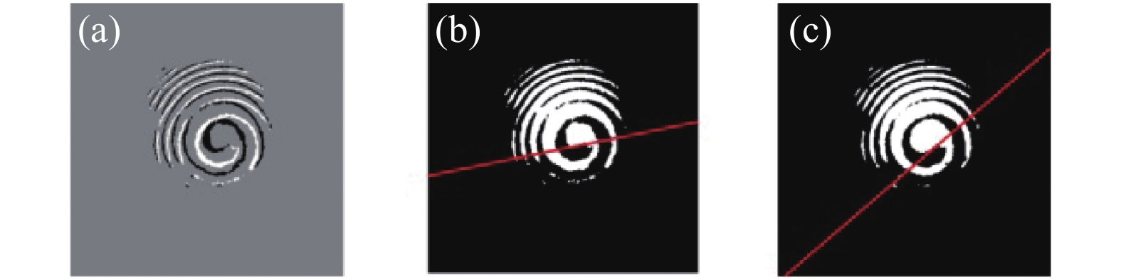 实验图像MATLAB处理结果。(a)位移前后干涉图相减强度分布,(b)位移前螺旋条纹的切线,(c)位移后螺旋条纹的切线