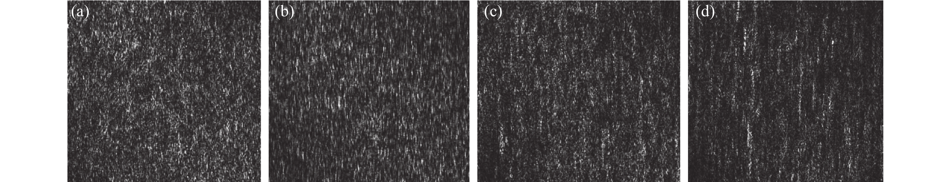 预处理后的激光散斑图像(平磨试件)。(a) Ra=0.1 μm; (b) Ra=0.2 μm; (c) Ra=0.4 μm; (d) Ra=0.8 μm