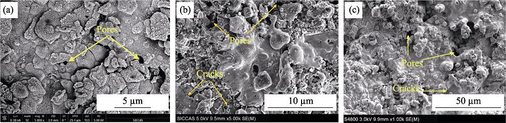 涂层的表面形貌
