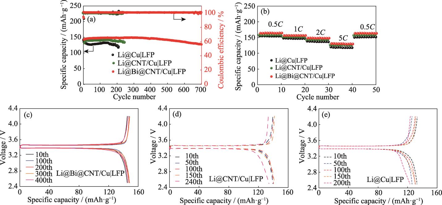 基于Li@Bi@CNT/Cu, Li@CNT/Cu和Li@Cu负极的LFP全电池的(a)长循环性能, (b)倍率性能, 基于(c)Li@Bi@CNT/Cu, (d)Li@CNT/Cu, (e)Li@Cu负极的LFP全电池在1C下的容量-电压曲线