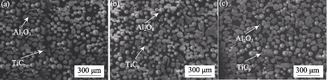 不同样件原材料的SEM形貌