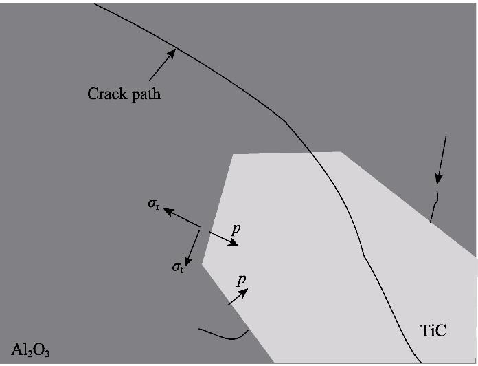 裂纹扩展及基体应力情况示意图