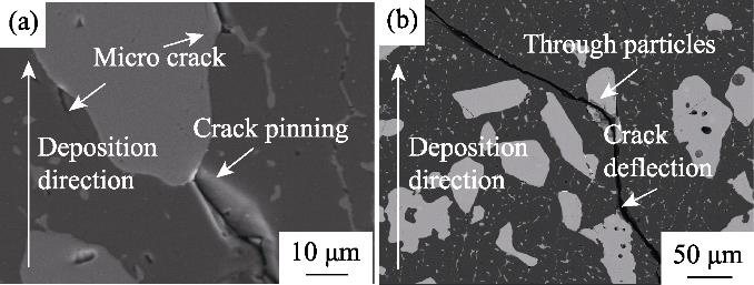 TiCp颗粒对裂纹扩展的偏转和阻碍作用