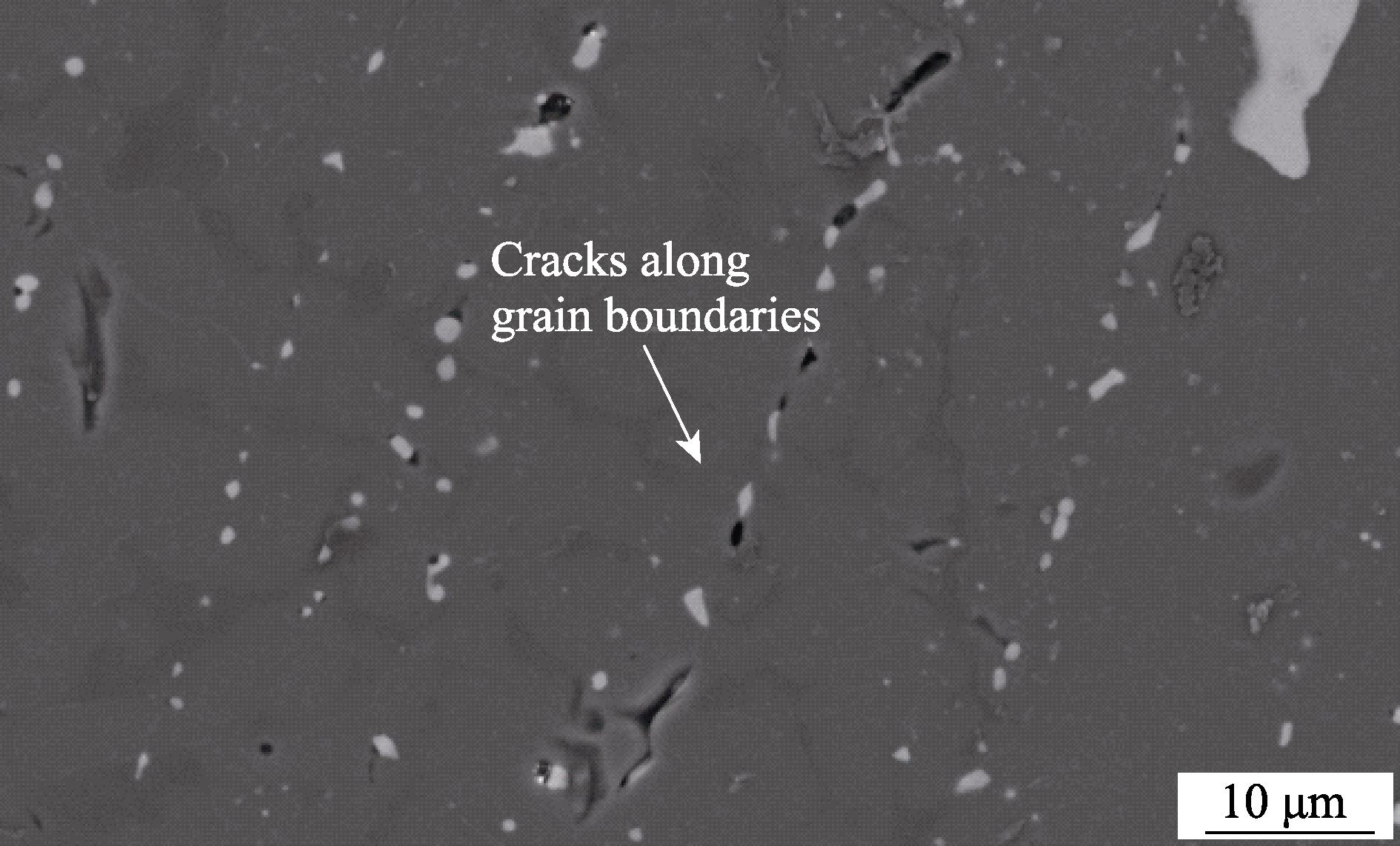沿着晶间析出物出现裂纹