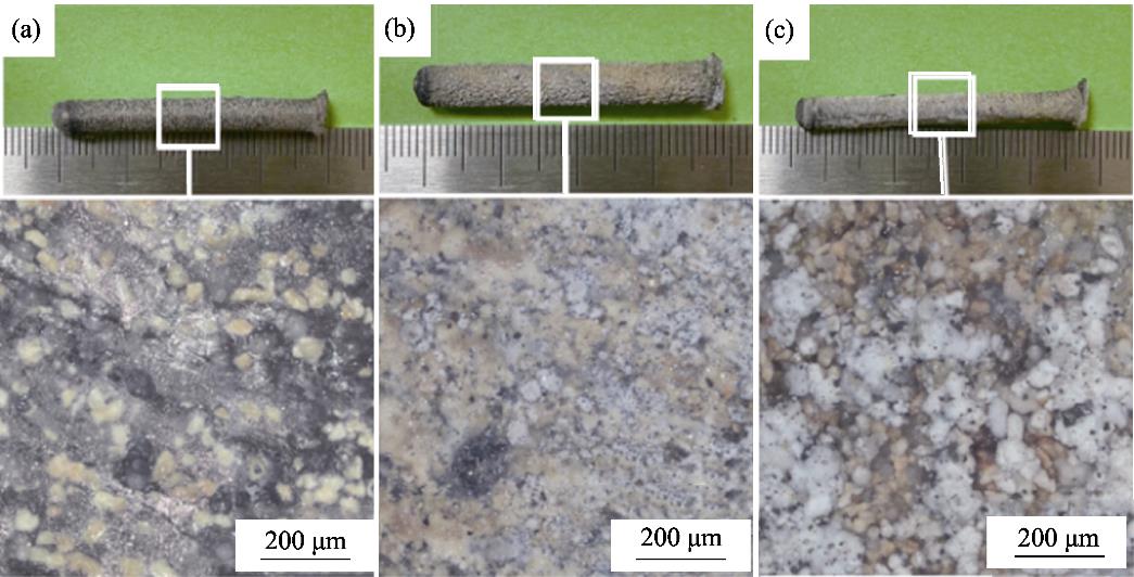 样件外观及放大照片